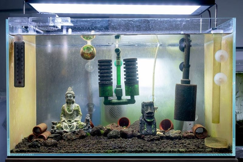 7 Best Aquarium Filters in 2025: Quiet, Efficient Solutions for Small Fish Tanks