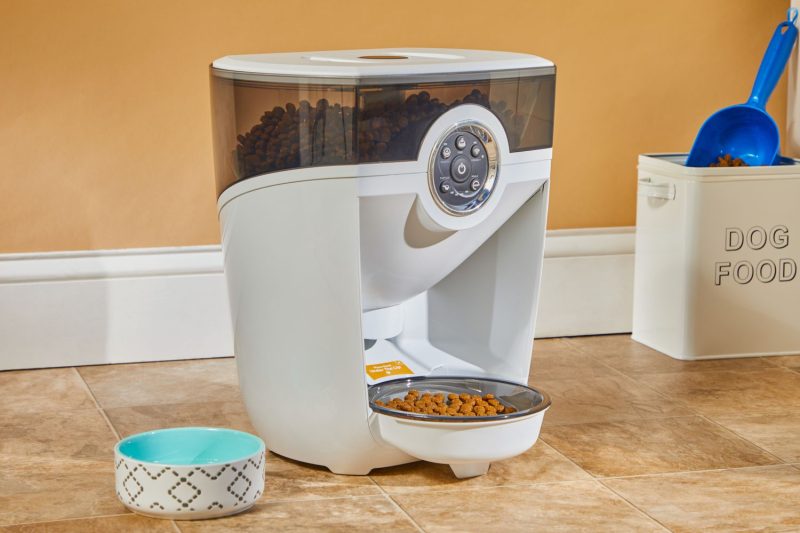 7 Best Automatic Cat Feeders in 2025: Keep Your Feline Fed and Happy Effortlessly