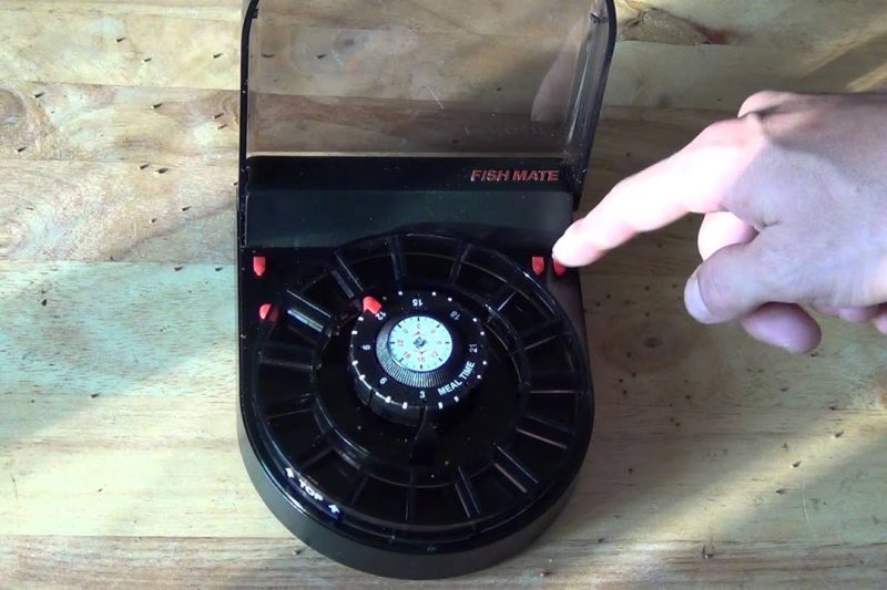 7 Best Automatic Fish Feeders in 2025: Ensure Hassle-Free Feeding for Your Aquarium