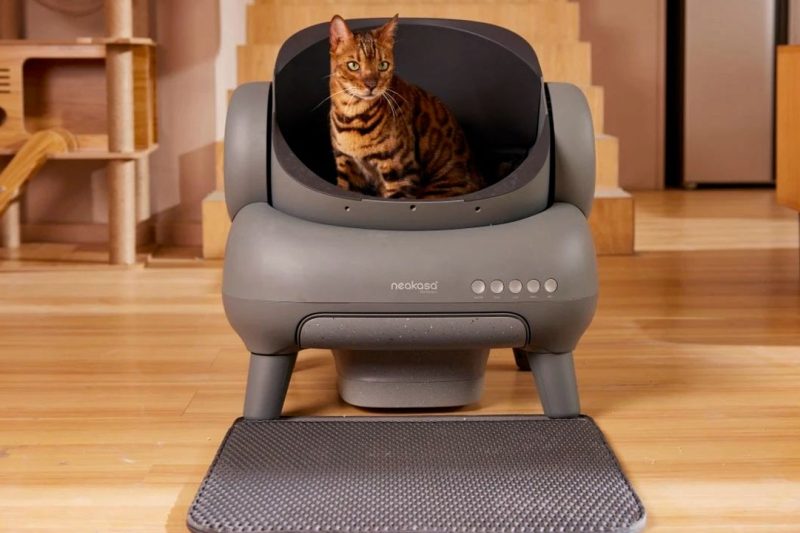 7 Best Cat Litter Boxes for Multiple Cats in 2025: Top Picks for Hassle-Free Cleanup