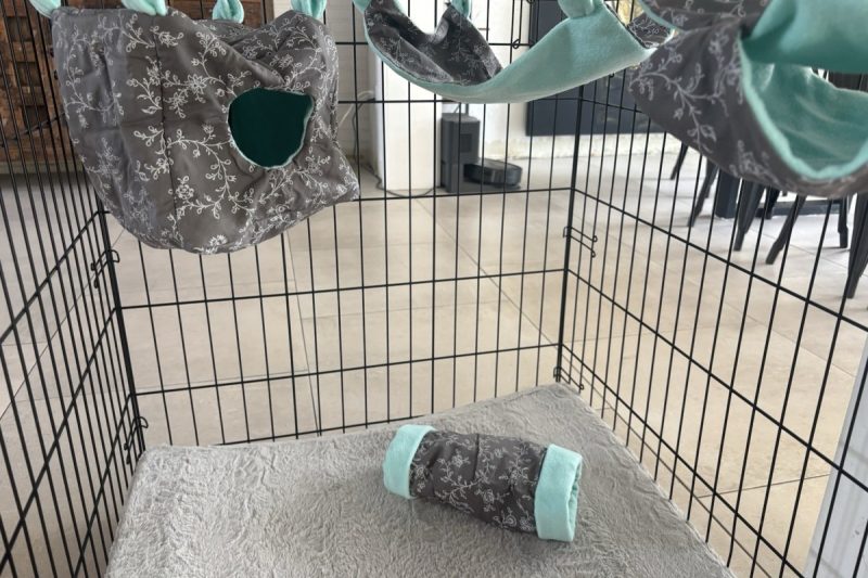 7 Best Ferret Hammocks in 2025: Cozy Hideouts for Happy Small Pets