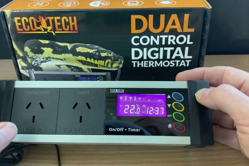 7 Best Reptile Thermostats in 2025 for Accurate Temperature Control in Greenhouses
