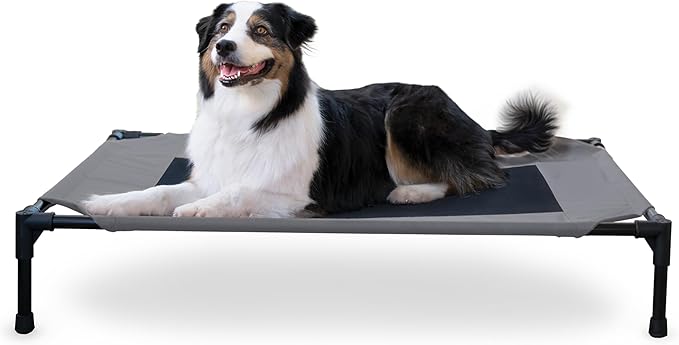 Top 5 Must-Have Dog Products: Make Life Easier for You and Your Pup