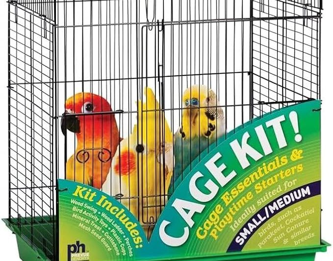 Top 5 Must-Have Products for Other Pets: Keep Your Small Pets Happy and Healthy