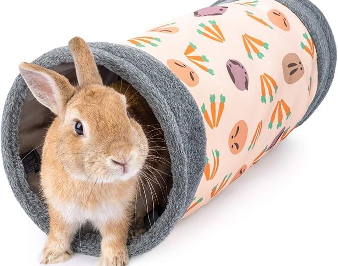 Top 5 Must-Have Hamster Products: Build the Perfect Habitat for Your Tiny Friend