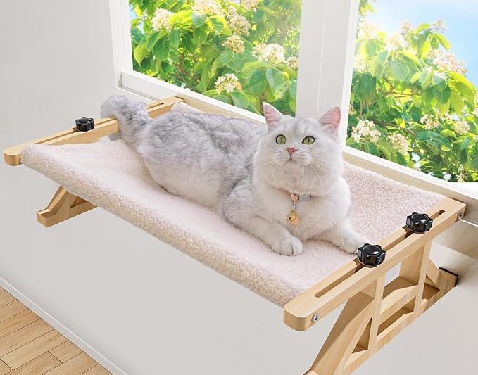 5 Useful Cat Products to Consider