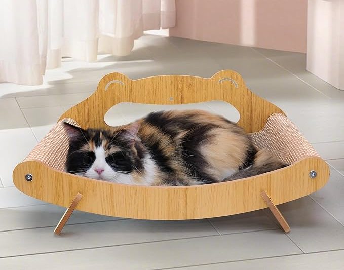 5 Smart Cat Products That Prove Your Cat Runs the House