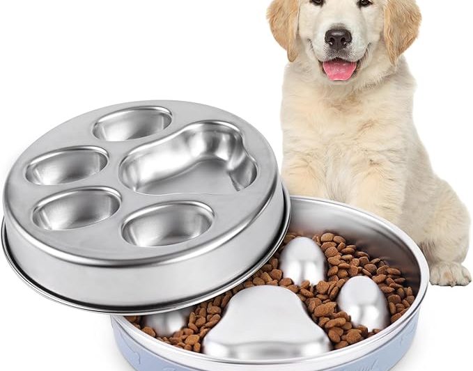 Must-Have Dog Products That Make Life Happier for Both Pets and Owners