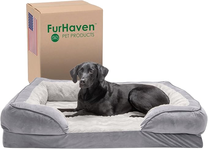 Products for Dogs: Comfort, Health & Happiness