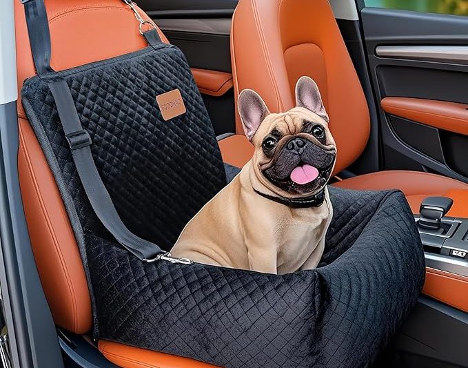 Pet Products That Make Life With Animals More Comfortable, Joyful, and Connected