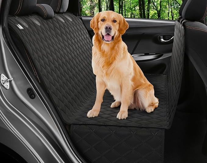 Top 5 Must-Have Dog Products Every Pet Owner Should Know About